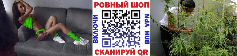 Наркотические вещества Бежецк COCAIN  ТГК  ГАШИШ  МЕФ  Псилоцибиновые грибы 