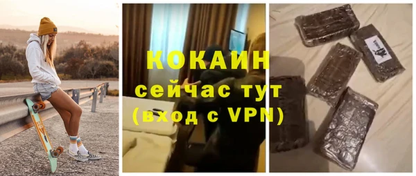 спиды Новодвинск