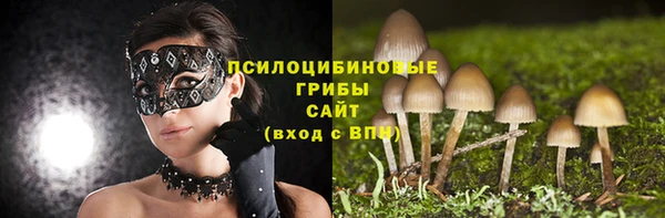 спиды Новодвинск