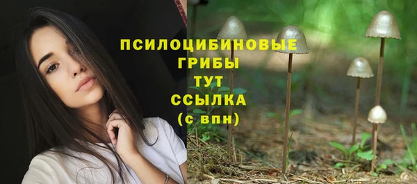 скорость mdpv Гусев