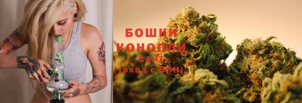 спиды Новодвинск