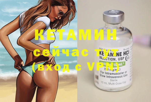 спиды Новодвинск