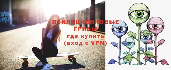 спиды Новодвинск