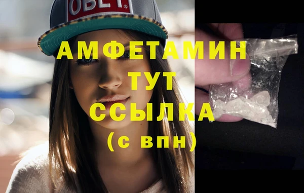 спиды Новодвинск